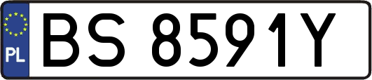 BS8591Y