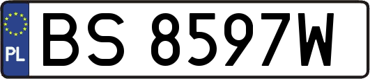 BS8597W