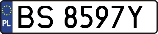 BS8597Y