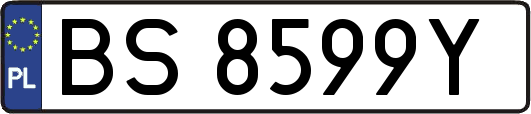 BS8599Y