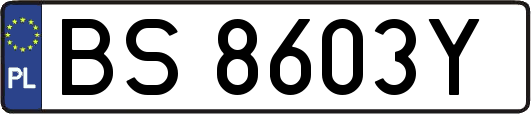 BS8603Y