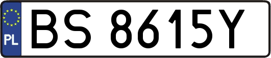 BS8615Y