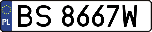 BS8667W