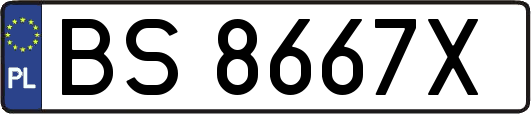 BS8667X