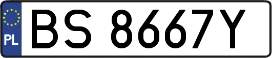 BS8667Y