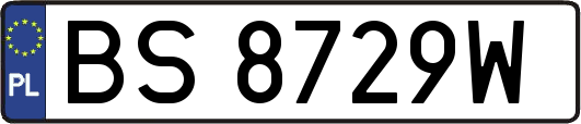 BS8729W