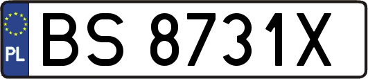BS8731X