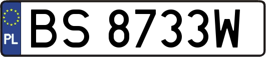 BS8733W