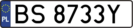 BS8733Y