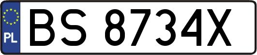 BS8734X