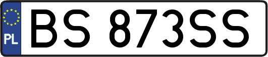 BS873SS