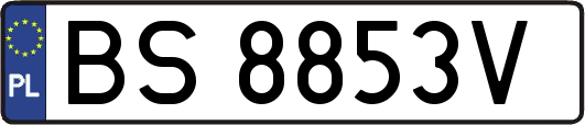 BS8853V