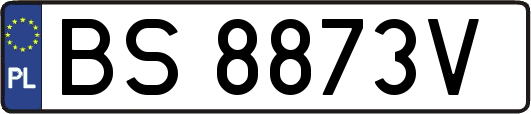 BS8873V