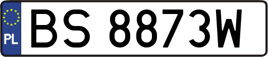 BS8873W