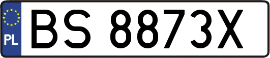 BS8873X
