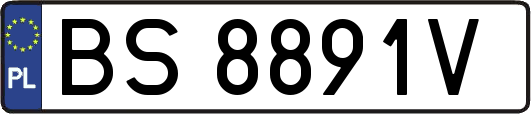 BS8891V