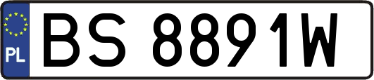 BS8891W