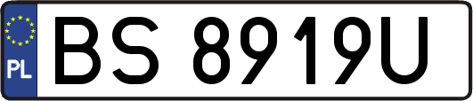 BS8919U