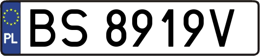 BS8919V