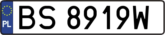 BS8919W
