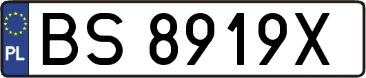 BS8919X