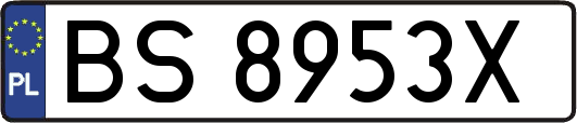 BS8953X
