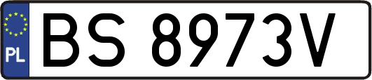 BS8973V