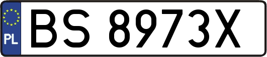 BS8973X
