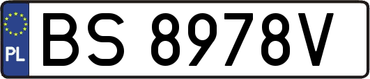 BS8978V