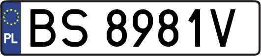 BS8981V