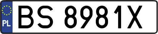 BS8981X