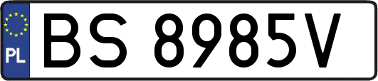 BS8985V