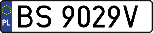 BS9029V
