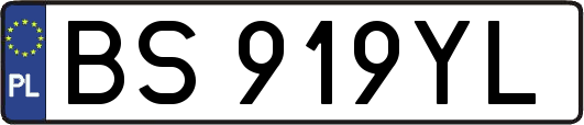 BS919YL