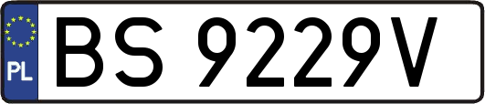 BS9229V