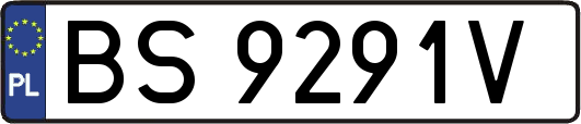 BS9291V