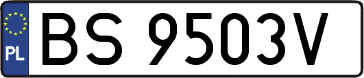BS9503V