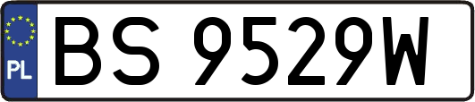 BS9529W