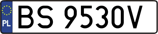 BS9530V