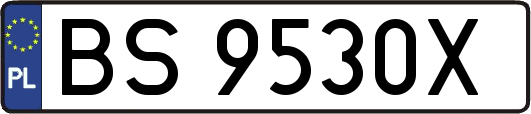 BS9530X