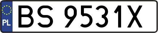 BS9531X