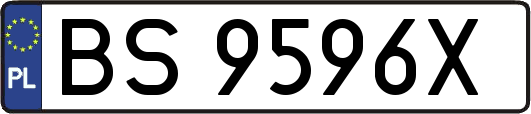 BS9596X