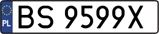 BS9599X