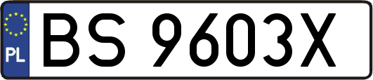 BS9603X
