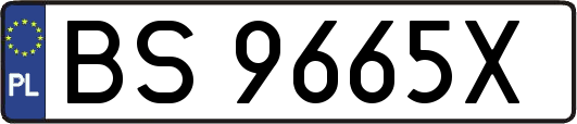 BS9665X