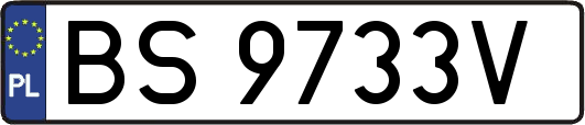 BS9733V