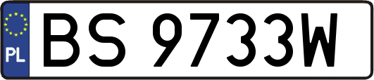 BS9733W