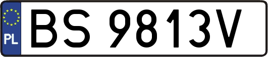 BS9813V