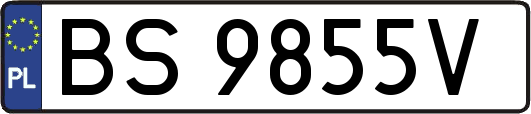 BS9855V