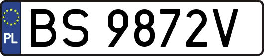 BS9872V